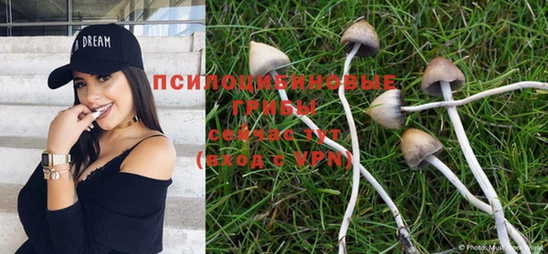 прущие крисы Балахна