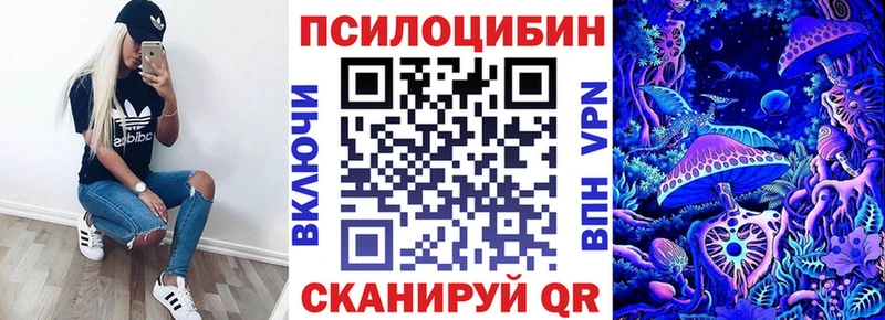 Псилоцибиновые грибы Cubensis  где можно купить   KRAKEN зеркало  Щёкино 